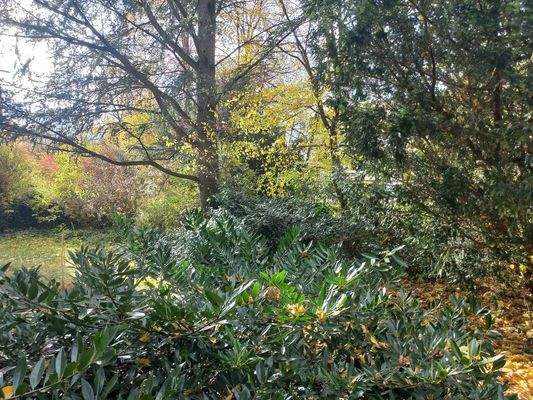 von der kleinen Terrasse aus