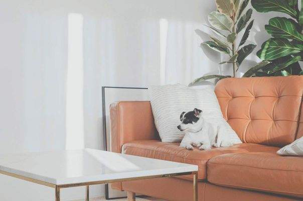 Einrichtungsbeispiel 1