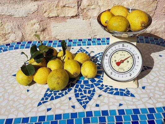 Kreta, Paidochori: Ländliches Steinhaus mit freier Aussicht zu verkaufen