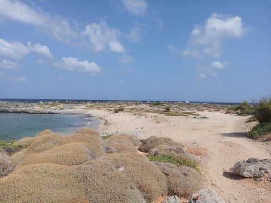 Ein wirklich erstaunliches Grundstück am Meer in S