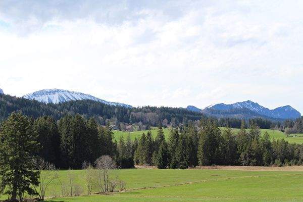 Mitten in der Natur – ruhige Lage - Natur pur