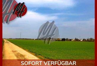 INFOS UNTER: 06171-586000