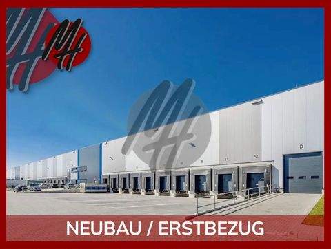 Leipzig Halle, Leipzig Hallenfläche