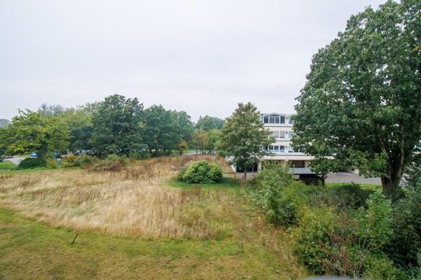 Blick vom Balkon