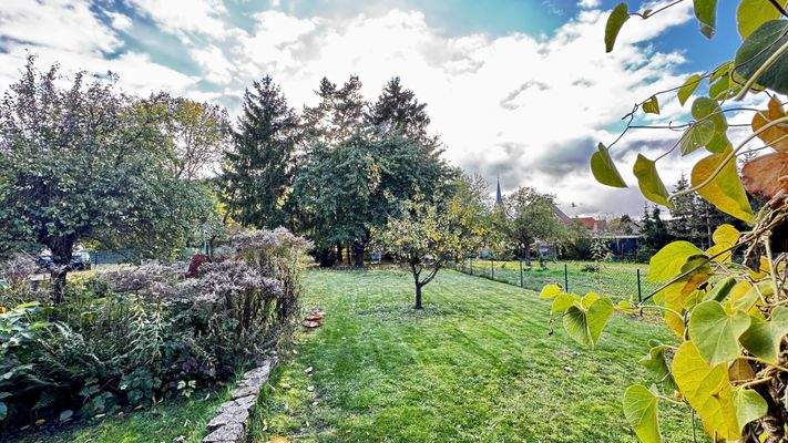 Blick in den hinteren Garten