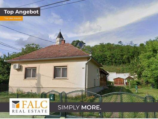 CM1407 auswandern-ungarn-Front