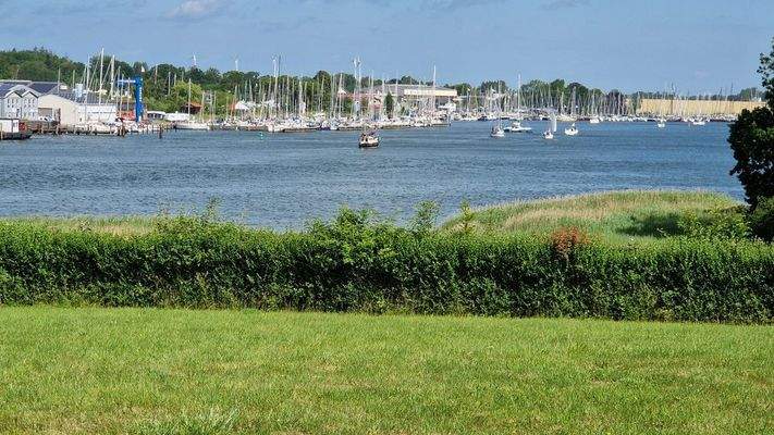 Die Segelboote im Blick 