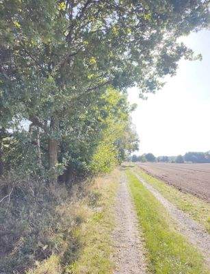 Natur pur - Wiesen und Felder direkt vor Ihrer Haustür