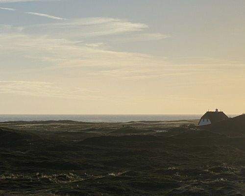 Ausblick in die Heide 