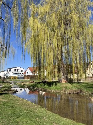 Blick auf die Sulz