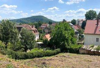 Blick auf den Windberg.jpg