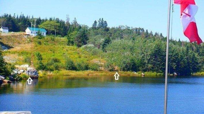 Blick zur Wasserfront Grundstück