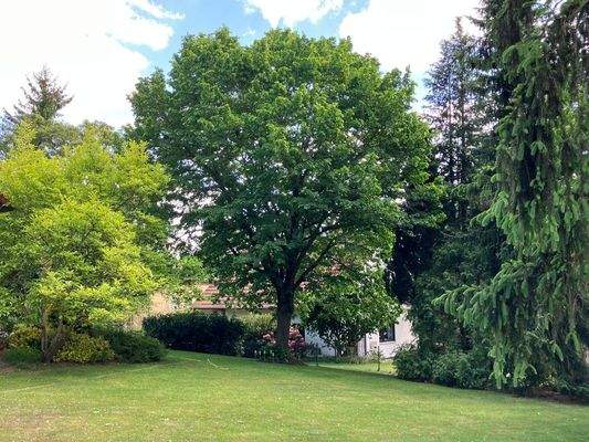 Parkähnliches Grundstück