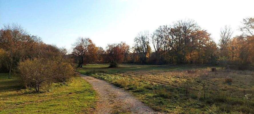 Wiesengrund direkt unterhalb