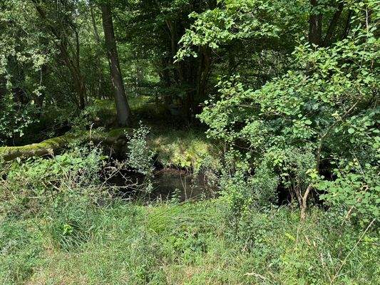 Grundstücksgrenze an der Gieselau