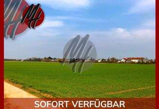 INFOS UNTER: 06171-586000