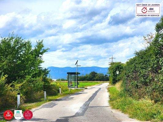 Ausblick Richtung Berge