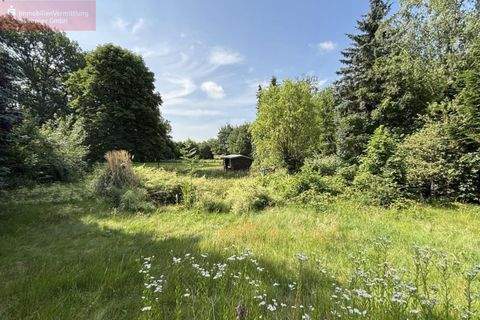 Burgdorf Häuser, Burgdorf Haus kaufen