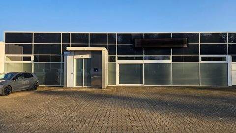 Neustrelitz Halle, Neustrelitz Hallenfläche