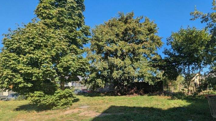 Baufeld für Zweitbau 