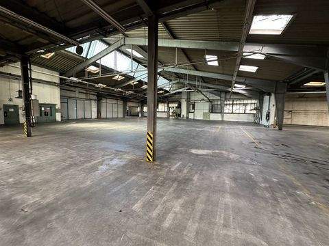 Arnsberg Halle, Arnsberg Hallenfläche