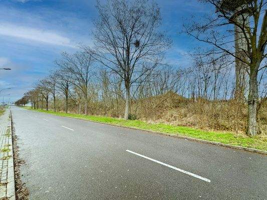 Strassenansicht aus Osten