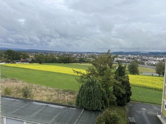 Blick ins Freie genießen