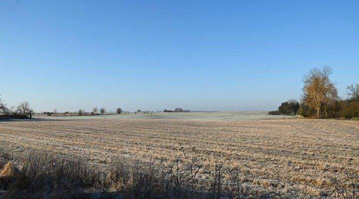 Weitblick übers Feld