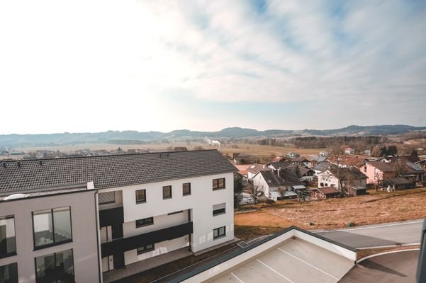 02_25-Hunderdorf-02