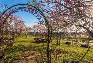 Wohnen inmitten der Weinberge und Pfälzerwald
