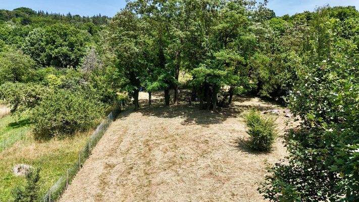 Ansicht Grundstück.1