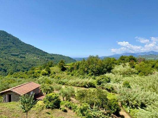 PE973_25 TERRA ITALIA IMMOBILIEN_LIGURIEN_COTTAGE_