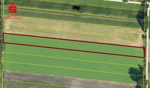 Ismaning Bauernhöfe, Landwirtschaft, Ismaning Forstwirtschaft