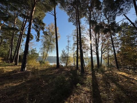 Heidesee Häuser, Heidesee Haus kaufen