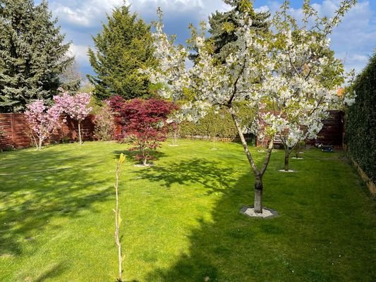 Garten Sommer