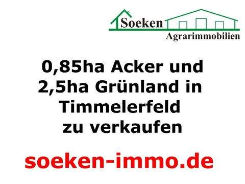 Großefehn Bauernhöfe, Landwirtschaft, Großefehn Forstwirtschaft