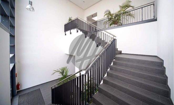 INFOS UNTER: 06171-586000