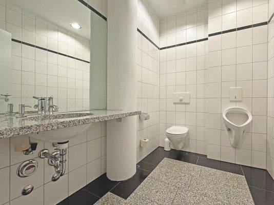 G008-2025_Hochstatt_6-Toilette_Herren