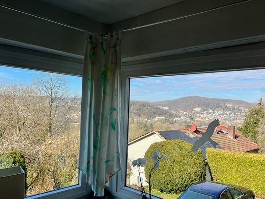 Ausblick.jpg