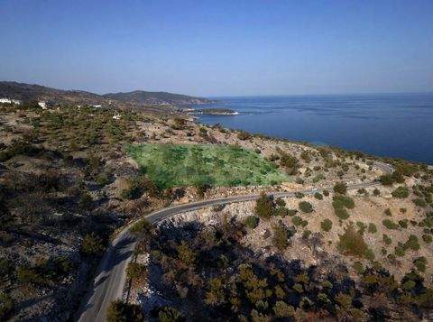 Thasos (Thassos) Industrieflächen, Lagerflächen, Produktionshalle, Serviceflächen