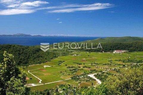 Korcula Bauernhöfe, Landwirtschaft, Korcula Forstwirtschaft