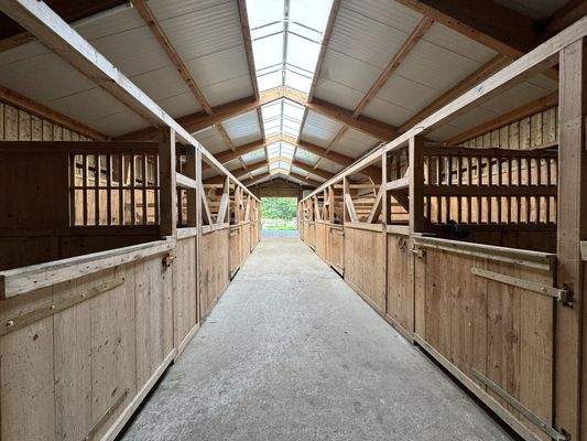 Boxen im Pferdestall