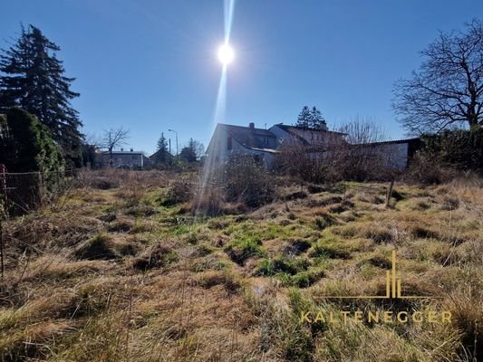 Blick auf das Grundstück von der Hinteransicht