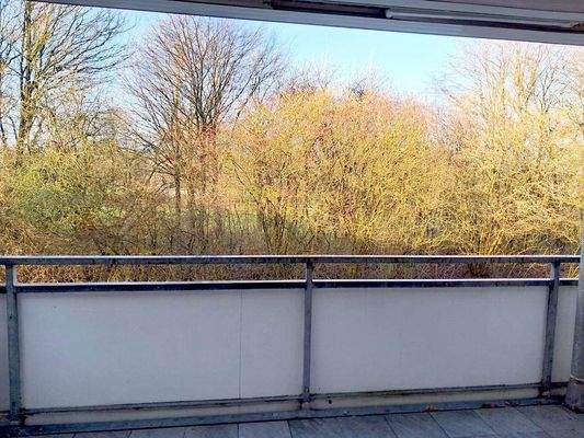 Blick vom Balkon in die Natur