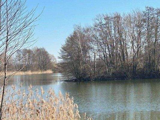 See in unmittelbarer Nähe