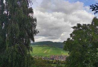Ausblick