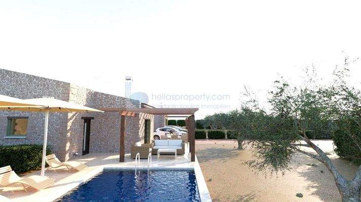 img_aa5431da-f242-4c22-b7b6-4d999cea8ff1