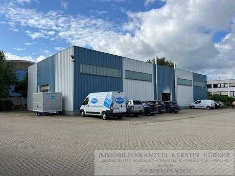 Bamberg Halle, Bamberg Hallenfläche