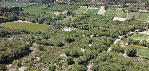 Muro Grundstücke, Muro Grundstück kaufen