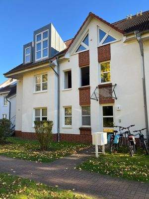 PHOTO-2025-10-19-15-23-07 2.jpg